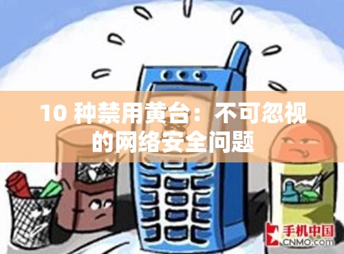 10 种禁用黄台：不可忽视的网络安全问题