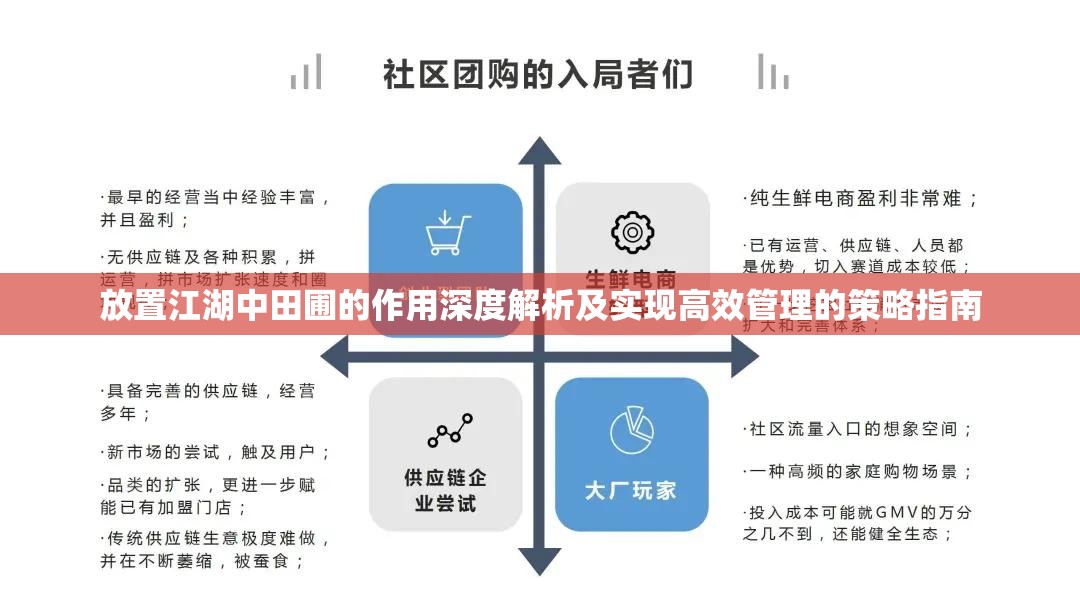 放置江湖中田圃的作用深度解析及实现高效管理的策略指南