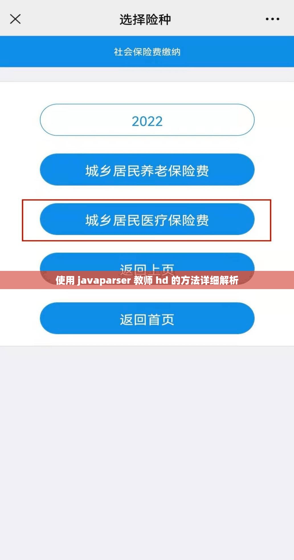 使用 javaparser 教师 hd 的方法详细解析