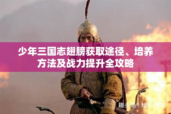 少年三国志翅膀获取途径、培养方法及战力提升全攻略