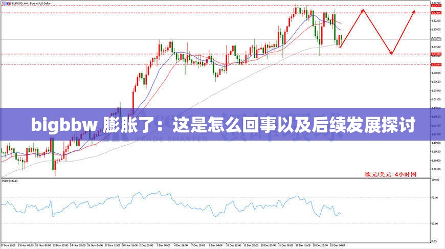 bigbbw 膨胀了：这是怎么回事以及后续发展探讨