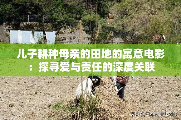 儿子耕种母亲的田地的寓意电影：探寻爱与责任的深度关联