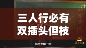 三人行必有双插头但枝笔趣阁：一个独特的文学资源平台