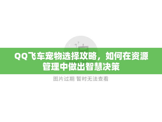 QQ飞车宠物选择攻略，如何在资源管理中做出智慧决策