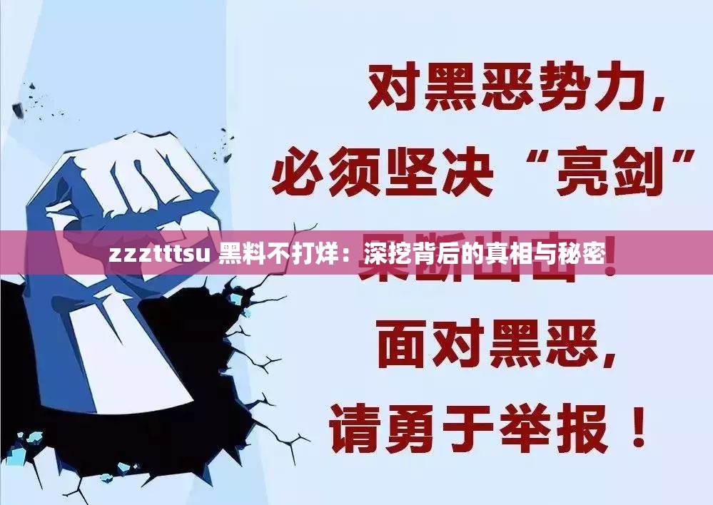 zzztttsu 黑料不打烊：深挖背后的真相与秘密