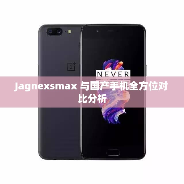 Jagnexsmax 与国产手机全方位对比分析