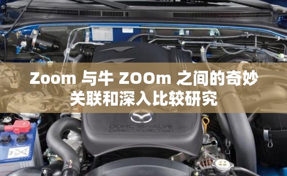 Zoom 与牛 ZOOm 之间的奇妙关联和深入比较研究