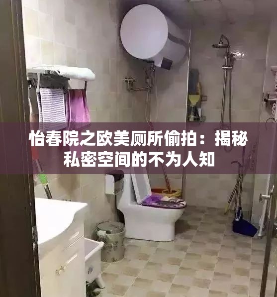 怡春院之欧美厕所偷拍：揭秘私密空间的不为人知