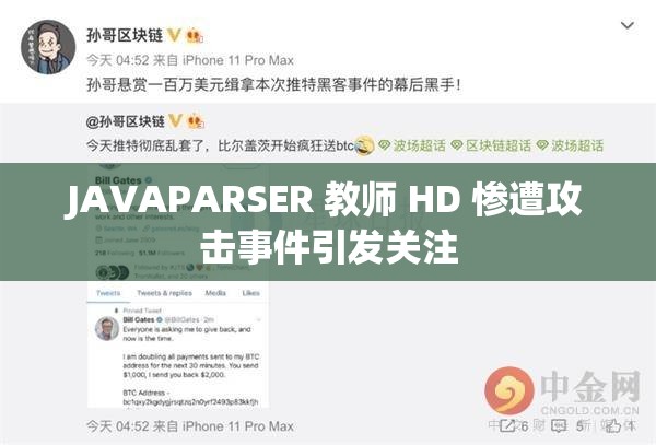 JAVAPARSER 教师 HD 惨遭攻击事件引发关注