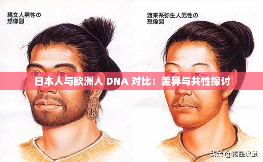 日本人与欧洲人 DNA 对比：差异与共性探讨