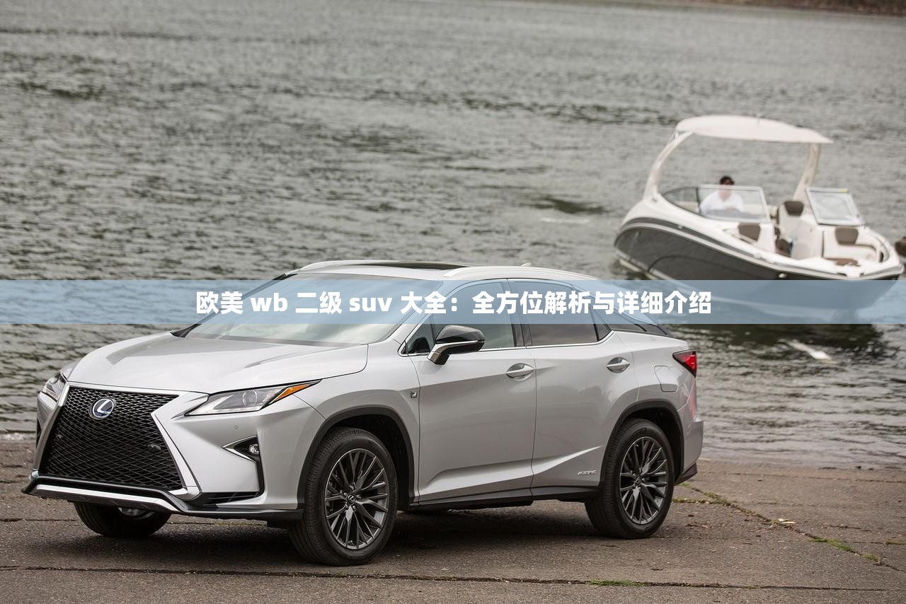 欧美 wb 二级 suv 大全：全方位解析与详细介绍