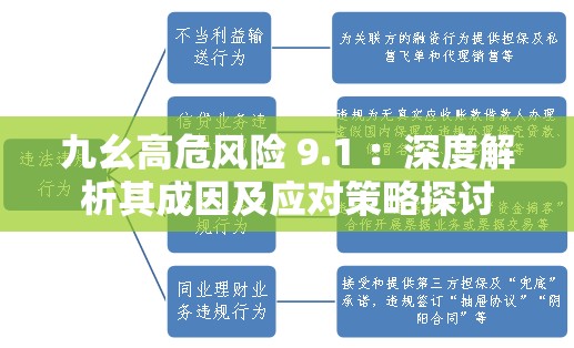 九幺高危风险 9.1 ：深度解析其成因及应对策略探讨