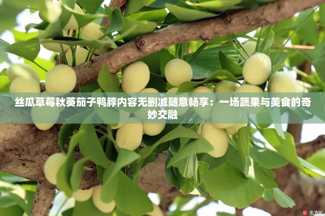 丝瓜草莓秋葵茄子鸭脖内容无删减随意畅享：一场蔬果与美食的奇妙交融