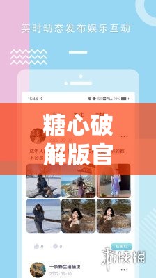 糖心破解版官网入口：畅享精彩，尽在其中
