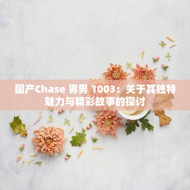 国产Chase 男男 1003：关于其独特魅力与精彩故事的探讨