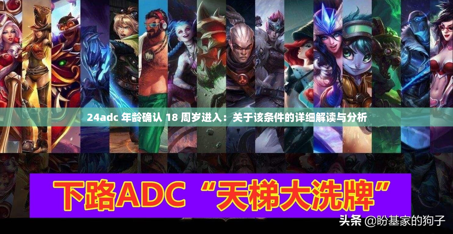 24adc 年龄确认 18 周岁进入：关于该条件的详细解读与分析