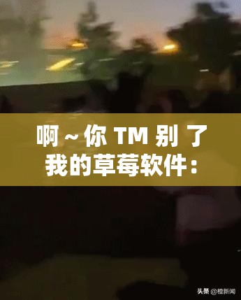 啊～你 TM 别 了我的草莓软件：软件使用需谨慎啊