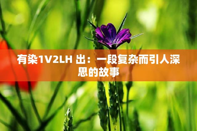 有染1V2LH 出：一段复杂而引人深思的故事