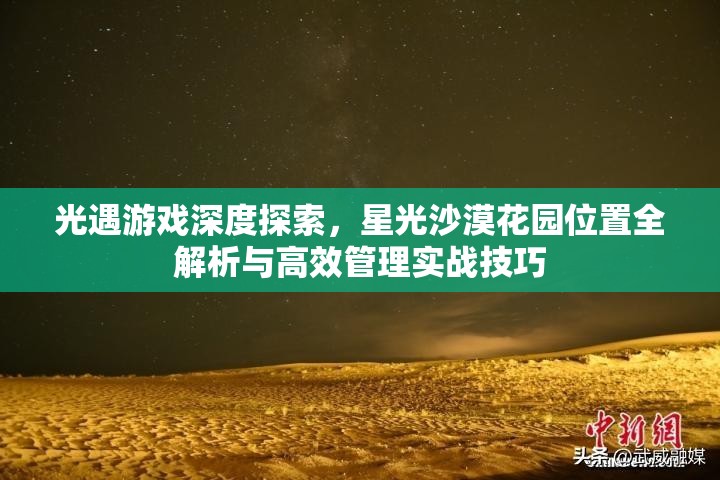 光遇游戏深度探索，星光沙漠花园位置全解析与高效管理实战技巧