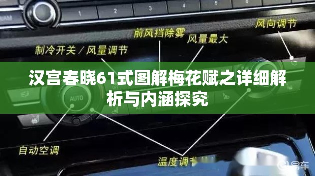 汉宫春晓61式图解梅花赋之详细解析与内涵探究