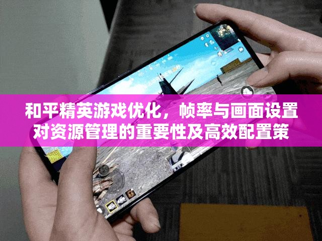 和平精英游戏优化，帧率与画面设置对资源管理的重要性及高效配置策略