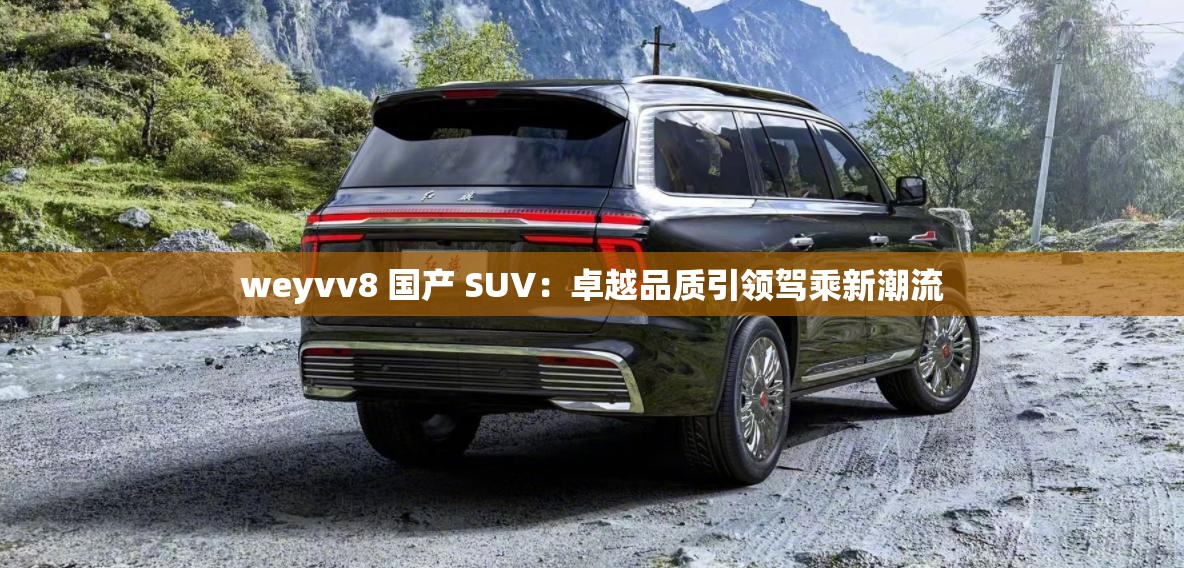 weyvv8 国产 SUV：卓越品质引领驾乘新潮流