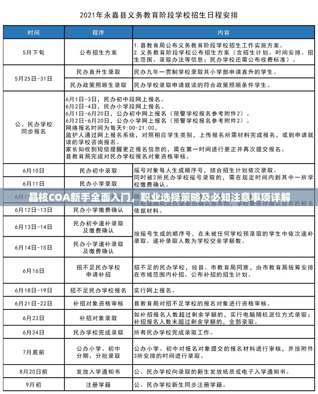 晶核COA新手全面入门，职业选择策略及必知注意事项详解