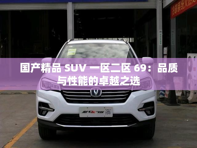 国产精品 SUV 一区二区 69：品质与性能的卓越之选