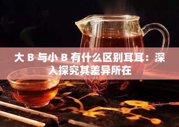 大 B 与小 B 有什么区别耳耳：深入探究其差异所在