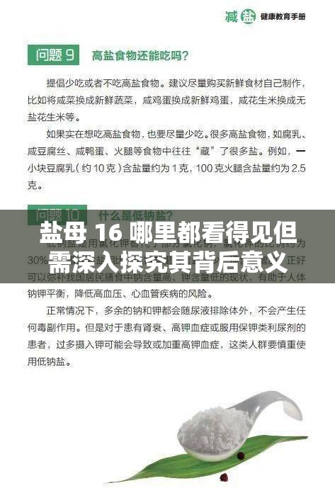 盐母 16 哪里都看得见但需深入探究其背后意义