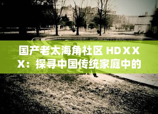 国产老太海角社区 HDⅩXX：探寻中国传统家庭中的代际关系