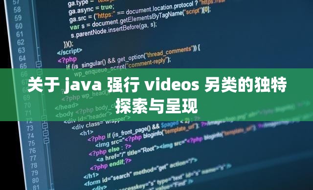 关于 java 强行 videos 另类的独特探索与呈现