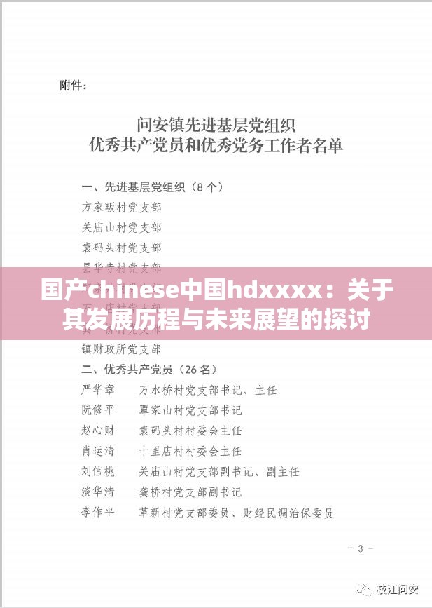 国产chinese中国hdxxxx：关于其发展历程与未来展望的探讨