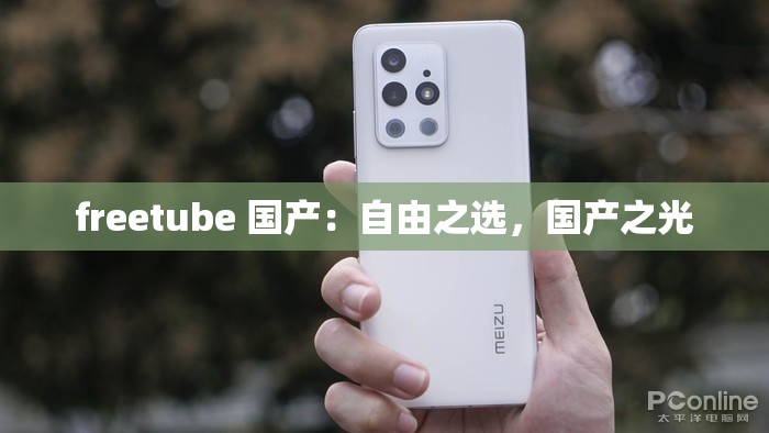 freetube 国产：自由之选，国产之光