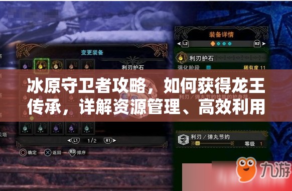 冰原守卫者攻略，如何获得龙王传承，详解资源管理、高效利用策略及避免浪费技巧