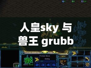 人皇sky 与兽王 grubby 的电竞传奇：巅峰对决