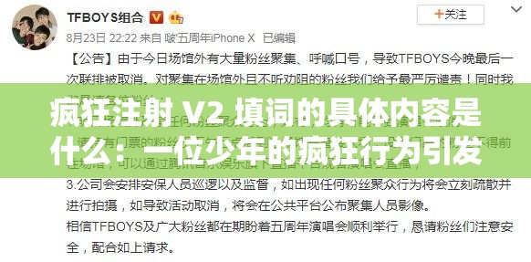 疯狂注射 V2 填词的具体内容是什么：一位少年的疯狂行为引发的思考