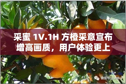 采蜜 1V.1H 方橙采意宣布增高画质，用户体验更上一层楼