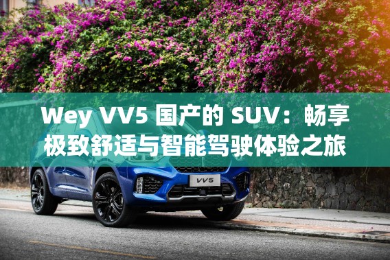 Wey VV5 国产的 SUV：畅享极致舒适与智能驾驶体验之旅