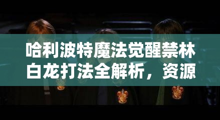 哈利波特魔法觉醒禁林白龙打法全解析，资源管理、战斗技巧与策略运用