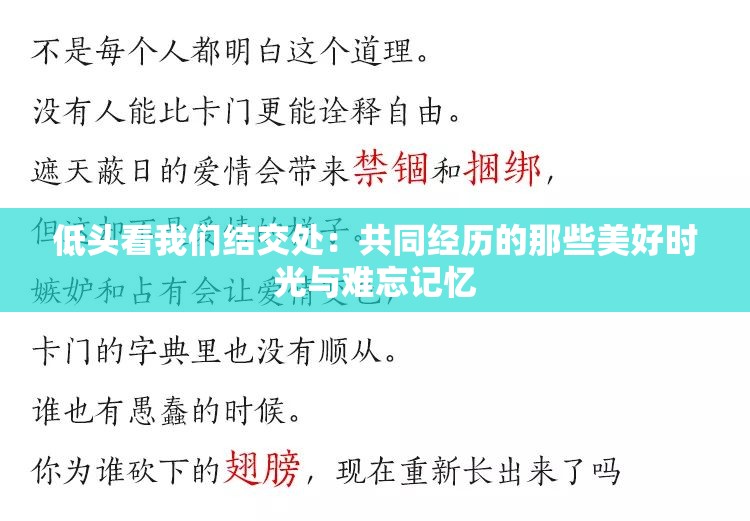 低头看我们结交处：共同经历的那些美好时光与难忘记忆