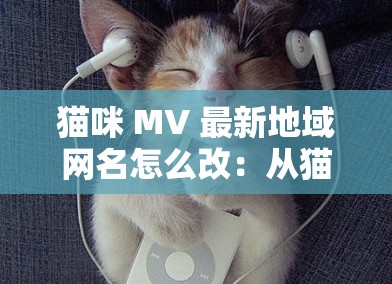 猫咪 MV 最新地域网名怎么改：从猫咪 MV 到地域网名的华丽转身