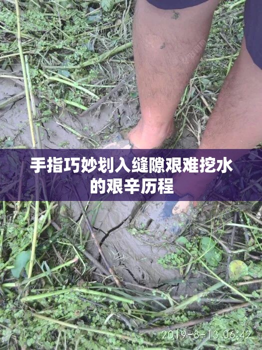 手指巧妙划入缝隙艰难挖水的艰辛历程