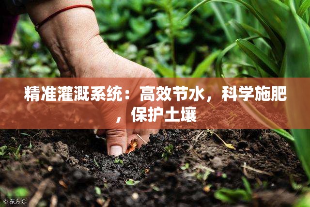 精准灌溉系统：高效节水，科学施肥，保护土壤