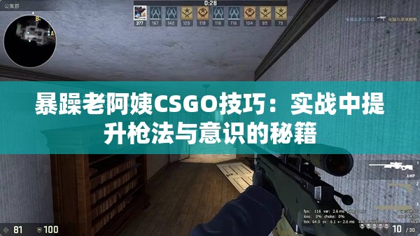 暴躁老阿姨CSGO技巧：实战中提升枪法与意识的秘籍