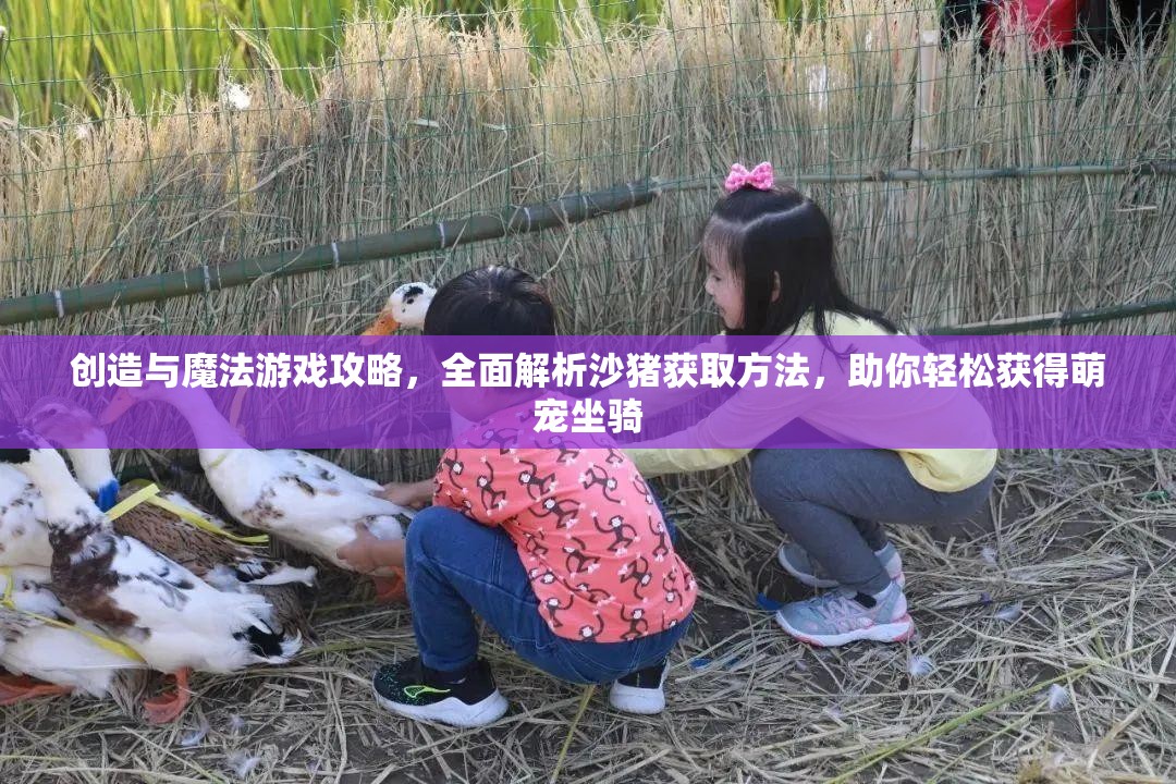 创造与魔法游戏攻略，全面解析沙猪获取方法，助你轻松获得萌宠坐骑