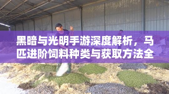 黑暗与光明手游深度解析，马匹进阶饲料种类与获取方法全揭秘