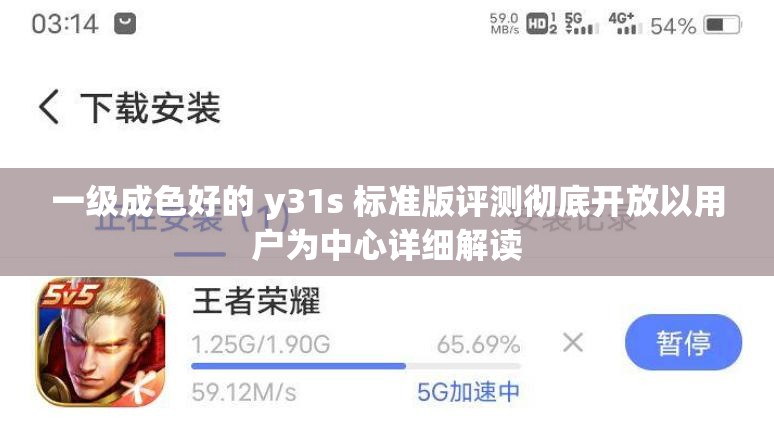 一级成色好的 y31s 标准版评测彻底开放以用户为中心详细解读