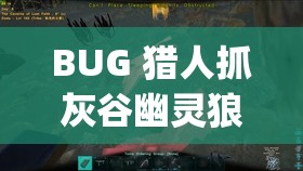 BUG 猎人抓灰谷幽灵狼，灰谷幽灵狼为何成为 Bug 焦点