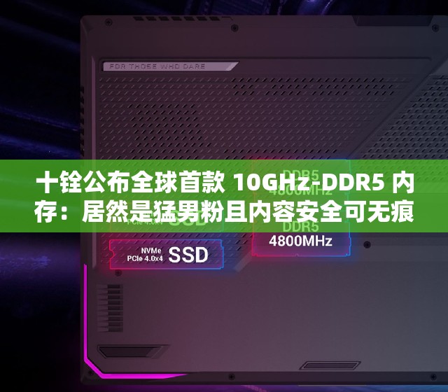 十铨公布全球首款 10GHz-DDR5 内存：居然是猛男粉且内容安全可无痕浏览